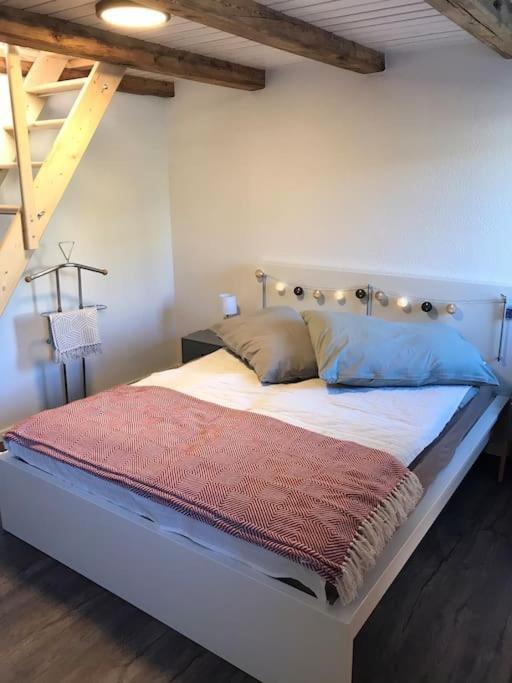La Maisonnette : Charmante Maison Independante Salgesch エクステリア 写真