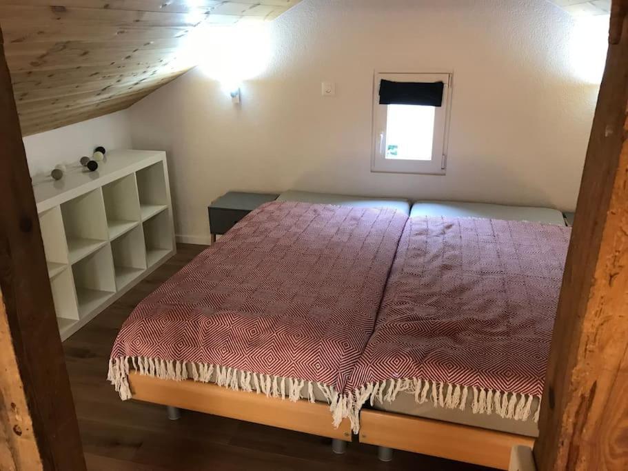 La Maisonnette : Charmante Maison Independante Salgesch エクステリア 写真