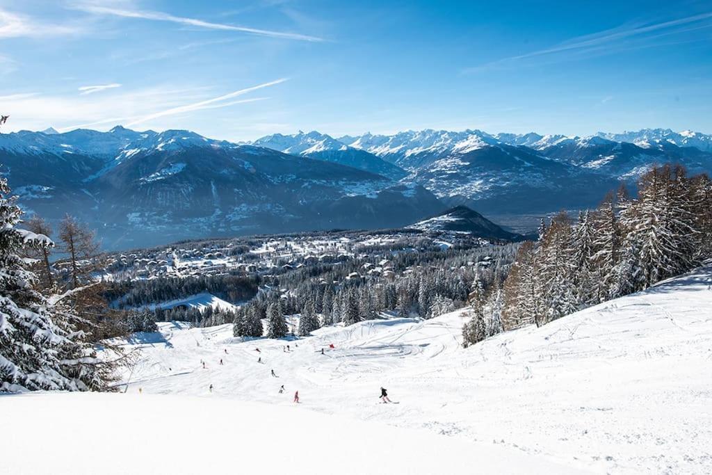 La Maisonnette : Charmante Maison Independante Salgesch エクステリア 写真