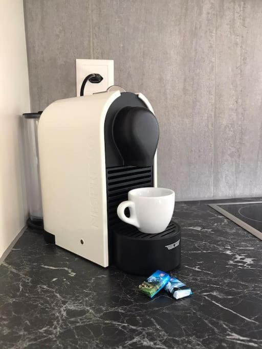 La Maisonnette : Charmante Maison Independante Salgesch エクステリア 写真