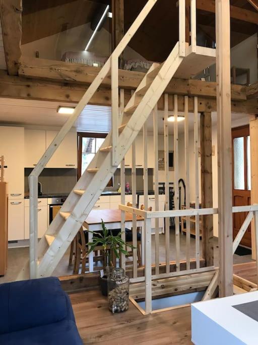 La Maisonnette : Charmante Maison Independante Salgesch エクステリア 写真